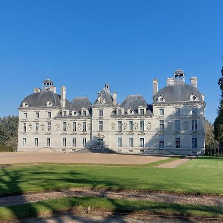 Trainefeuilles - Chambres D'Hotes Proche Zoo De Beauval Le Controis-en-Sologne Exteriér fotografie