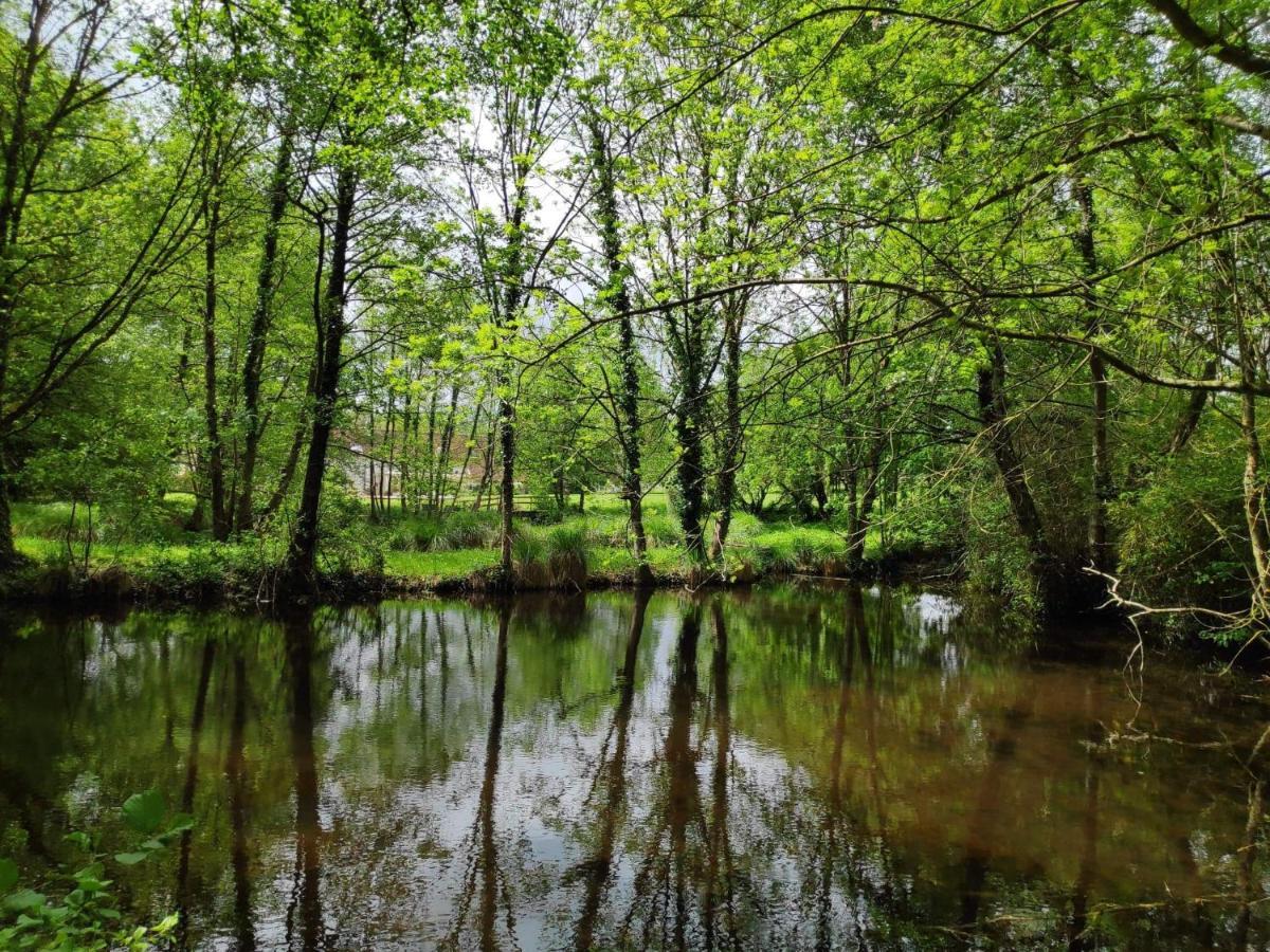 Trainefeuilles - Chambres D'Hotes Proche Zoo De Beauval Le Controis-en-Sologne Exteriér fotografie