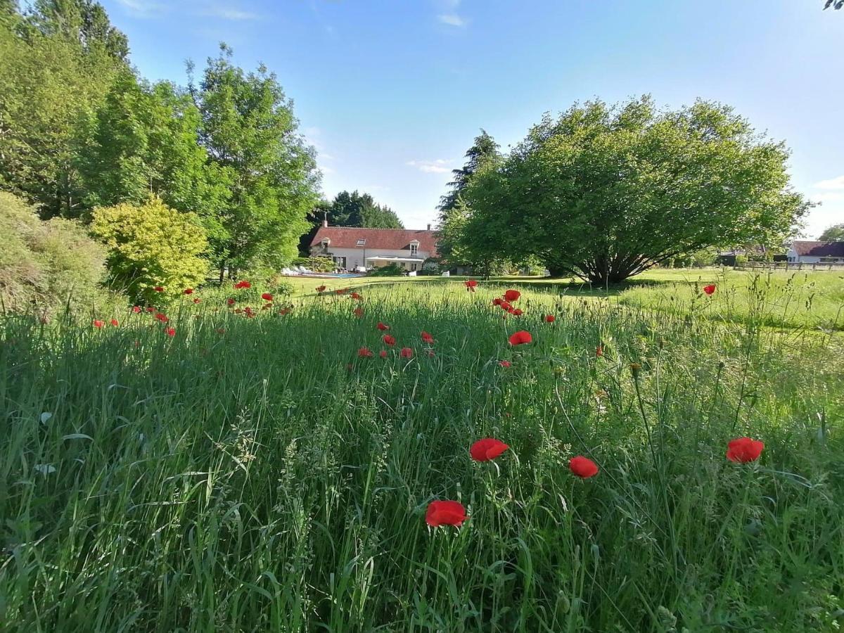 Trainefeuilles - Chambres D'Hotes Proche Zoo De Beauval Le Controis-en-Sologne Exteriér fotografie